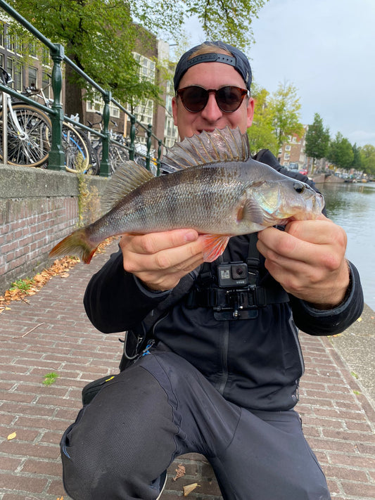Auf Raubfischjagd in der Niederlande - Teil 2 - Der Barsch